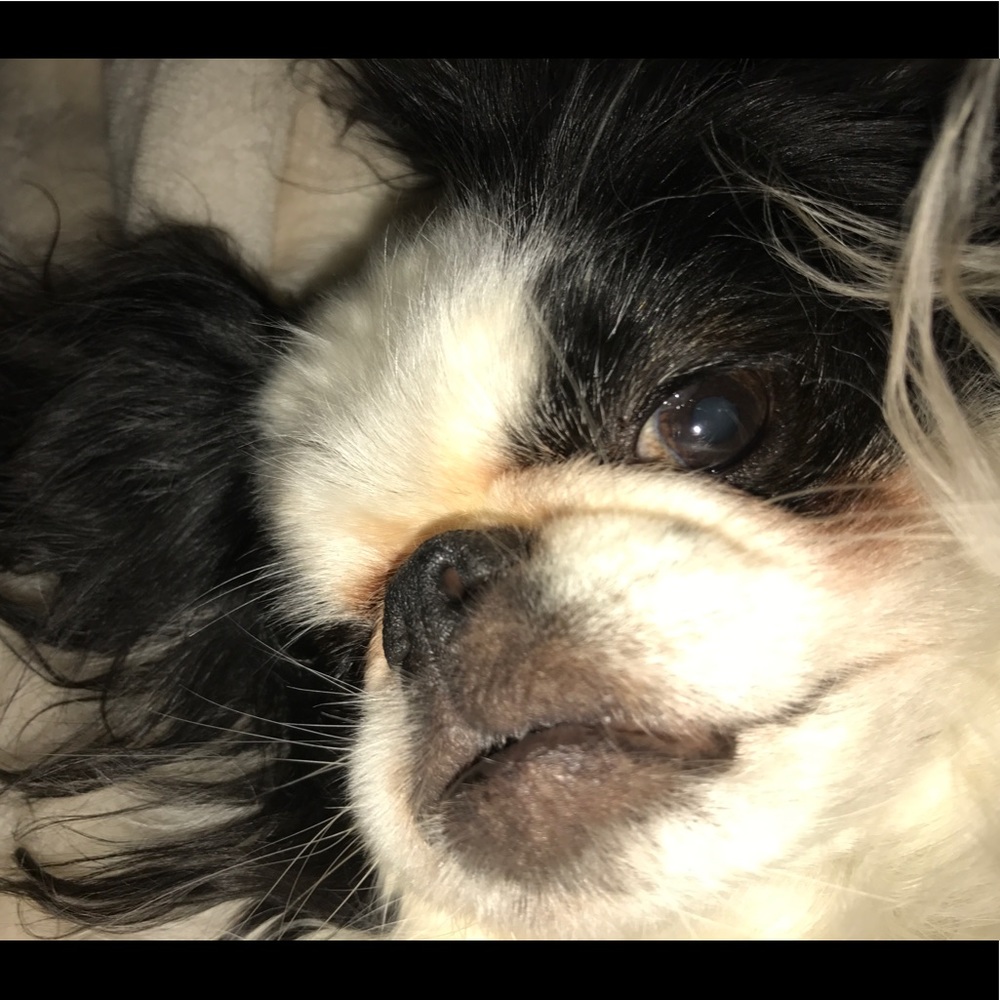 Meet your Posher, Sara